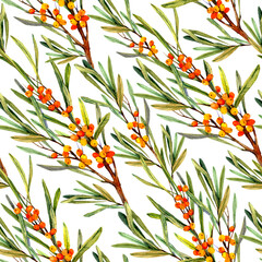 Seamless pattern with watercolor sprigs of sea buckthorn..Sea buckthorn print. Botanical pattern.