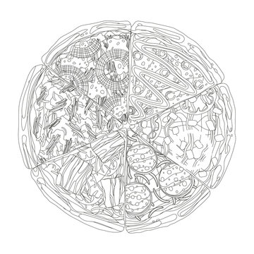 Pizza from different slices top view coloring isolated on white coloring book page  illustration.