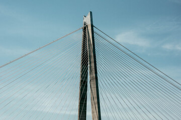 Fototapeta premium A bridge and forest over the strait. A bridge in the Bosphorus.