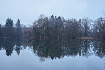 Fototapeta na wymiar Wald an einem Teich am Abend