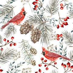 Christmas seamless pattern, cardinal birds, red berries, fir twigs, cedar cones, white background. Vector illustration. Nature design. Season greeting. Winter Xmas holidays