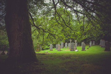 Fototapeta na wymiar Tilt shift effect of tombs behind a giant oak tree near Rob Roy's tomb, Balquhidder, Scotland. Concept: famous and typical landscapes of Scotland, mysterious places
