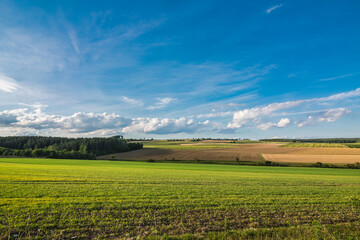 Green field with agriculture meadow and blue sky. Panoramic view to grass on the hill on sunny spring day