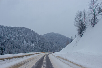 Fototapeta premium Snow-covered highway among the mountains, on the sides there are trees and trees in the snow. Winter landscape with snow-covered road, fir trees and mountains in Montana, America, 1-18-2020
