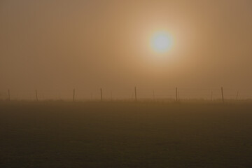 Landscape with thick fog and trees on the horizon