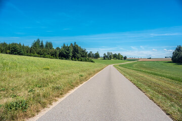 Fototapeta na wymiar Beautiful road in the nature. Green field with agriculture meadow and wildflowers in peaceful garden. 