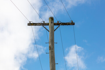 A wooden telephone pole with wires and terminal connectors