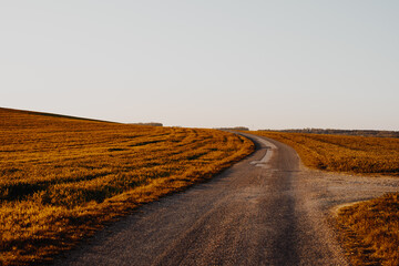 Obraz premium Leere Straße mit Feldern im Abendlicht bei Sonnenuntergang