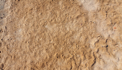 Desert Sands Reserve flat lay