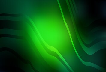 Dark Green vector background with curved lines.