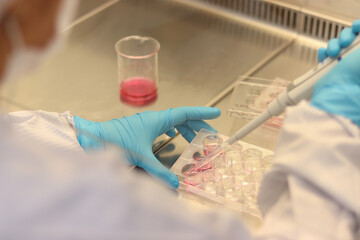 Scientist working in laboratory, microbiologis's hand with gloves holding a pipette, preparing culture media for cell culture science experiment, lab glassware and  apparatus in biosafety cabinet hood