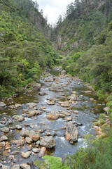 View of Waitawheta River from Windows Walk at Karangahake Gorge