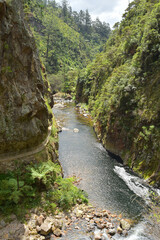 View of Waitawheta River from Windows Walk at Karangahake Gorge