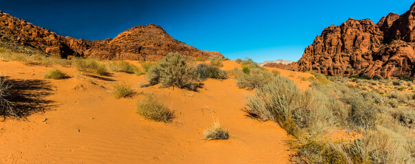 Fototapeta na wymiar Red Sand Dunes Surrounded by The Red Cliffs, Snow Canyon State Park, Utah, USA