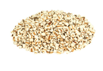 white Job's tears, Adlay millet or pearl millet isolated on white background. raw food for health concept.