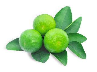 Lime green leaves lime isolated on white background. benefit Cough, expectorate, treatment of blood pressure, reduces swollen gums, with vitamin C. Citrus fruits and raw food for health concept.