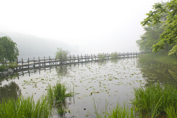 Dawn pond and wooden bridge.