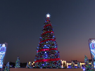 巨大なクリスマスツリー
