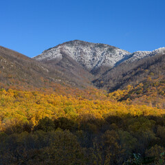 Naklejka premium Snow Atop Mt. LeConte in the Fall
