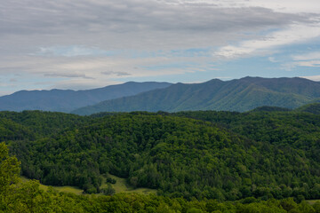 Fototapeta na wymiar Spring Greens Flood Smoky Mountains