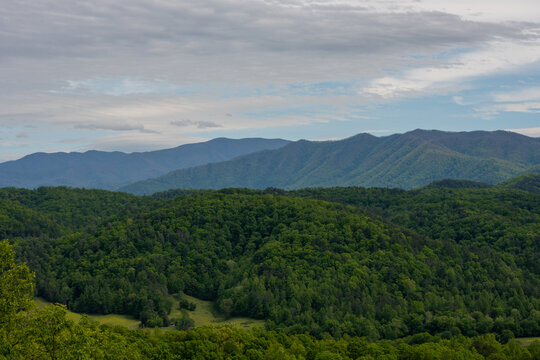 Spring Greens Flood Smoky Mountains © kellyvandellen