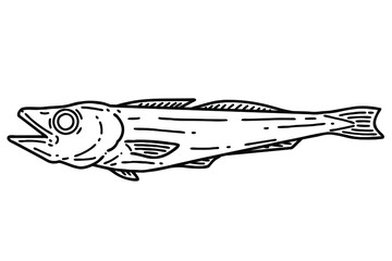 Dried pollack. Vector line art illustration.