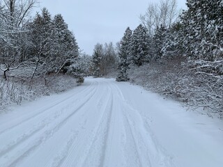 Obraz na płótnie Canvas Snowy Road