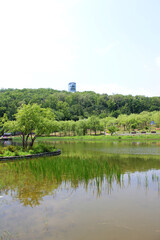 Obraz premium Lake in the spring park. 