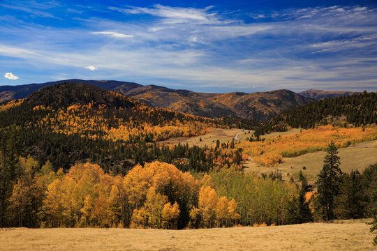 Autumn in the Rio Grande National Forest Near Creede, Colorado
