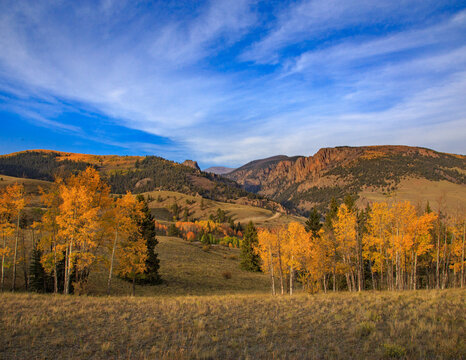 Scenic fall color drive in the aspens of the Rocky Mountains of Colorado