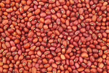 Adzuki red beans as background