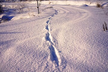 雪上の足跡