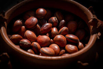 plant seed known as ox eye