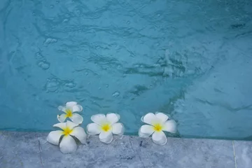 Zelfklevend Fotobehang Flowers of plumeria in the water surface. Water fluctuations copy-space. Spa concept background © binimin