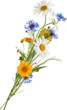 Summer bouquet isolated on white (without shadows)