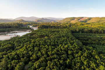 Aerial view mountain forest with river sunny day