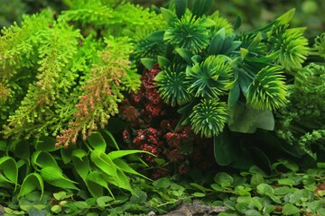 photo of decoration of fresh colorful flowers and leaves.