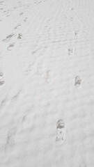 Footprint In snow filed in winter.