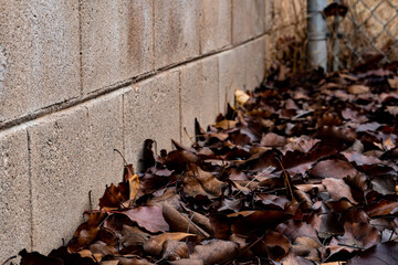 Piled leaves in the winter, lying against a cinderblock wall