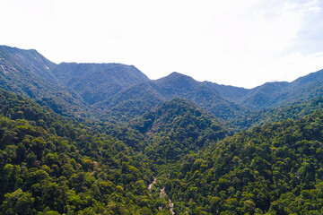Aerial view tropical green mountain forest