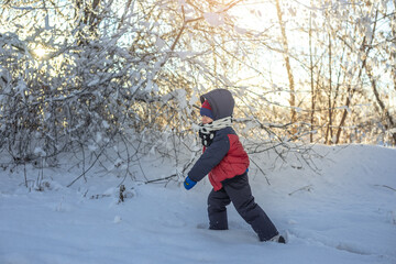 Fototapeta na wymiar Child is playing with snow on a winter frosty Sunny day among the trees outdoors at sunset
