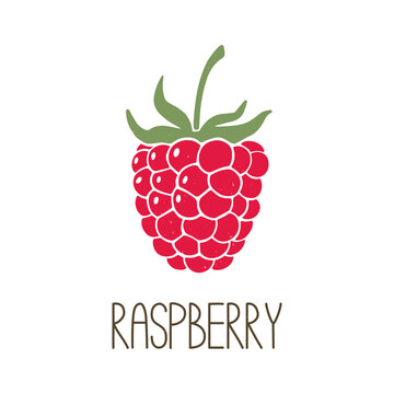 Cute caption raspberry isolated on transparent background. Colorful pictogram original design. Can be used for infographics, identity or decoration. Vector shabby hand drawn illustration