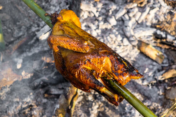 Chicken grilled on fire outdoor local camping forest