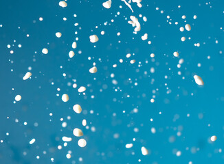 Splashes of white milk isolated on a blue background.