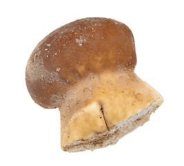 Close-up of a mushroom raincoat isolated on a white