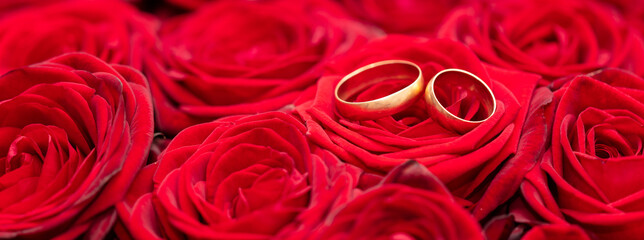 Two gold rings in the colors of red roses.