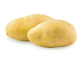 Young potato isolated on white background.