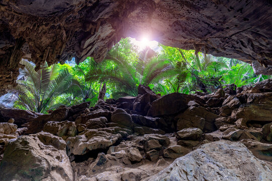 The primeval forest in the middle of a collapsing valley has become a tourist destination in Uthai Thani Province, Thailand.