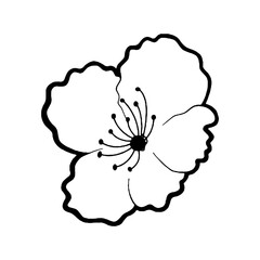 Doodle black line cherry blossom, sakura flower on white background. Vector illustration for decorate logo, wedding, greeting cards and any design.