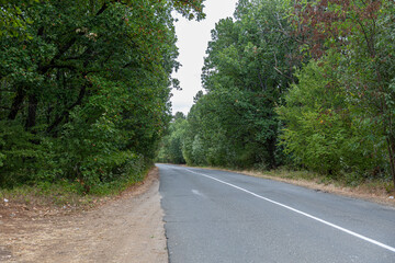 Obraz premium Small road in the forest